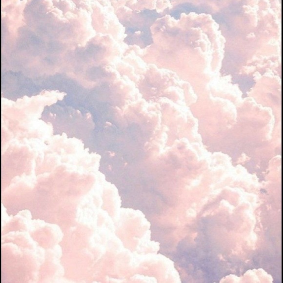 Meet your Posher, Daisy - Picture 1 of 1